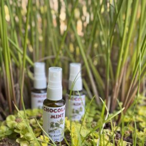 Chocolate Mint Infused Olive Oil by Lavi Dou Sea Moss — homegrown topical oil handcrafted in Houston, TX.