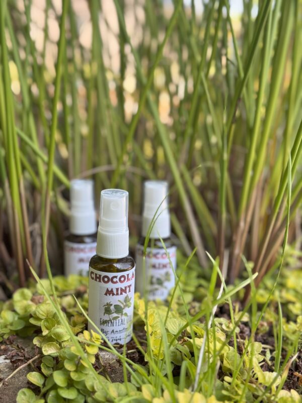 Chocolate Mint Infused Olive Oil by Lavi Dou Sea Moss — homegrown topical oil handcrafted in Houston, TX.